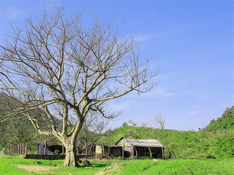 무료 이미지 경치 자연 숲 통로 잔디 집 밖의 산 하늘 목재 태양 안개 해돋이 일몰 도로 들 농장