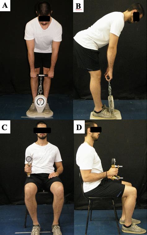 Trunk Mass Grasp Knee And Hip Muscle Performance In CrossFit