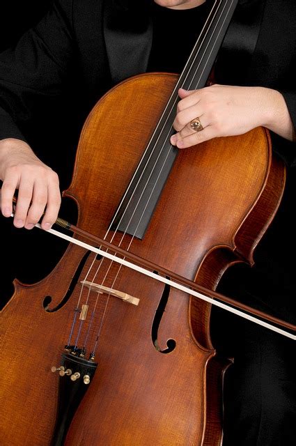 Más de 300 imágenes gratis de Violonchelo y Música Pixabay