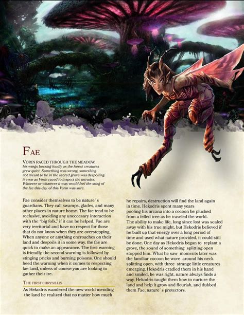 D D 5e Races Homebrew Bureauvica