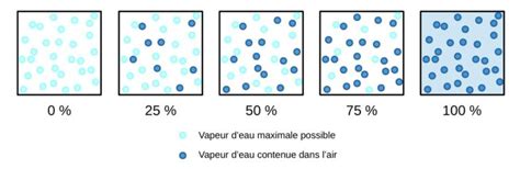 Humidité relative et activité de l eau Sous le microscope