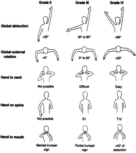 Active Range Of Motion Exercises Upper Extremity Shoulder Range Of