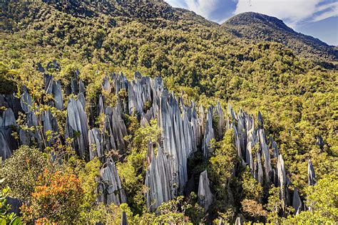 The Ultimate Gunung Mulu National Park Travel Guide