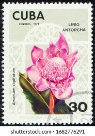 Cuba Circa 1974 Stamp 30 Cuban Stock Photo 1682776291 Shutterstock