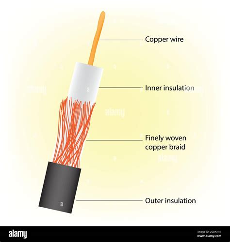 Diagrama Infográfico Del Cable Coaxial Imagen Vector De Stock Alamy
