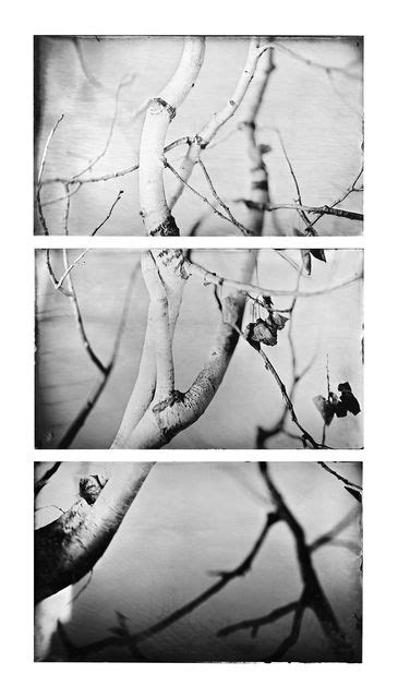 Triptych Photography Examples And Ideas Artofit