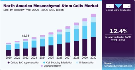 Mesenchymal Stem Cells Market Size And Share Report 2030