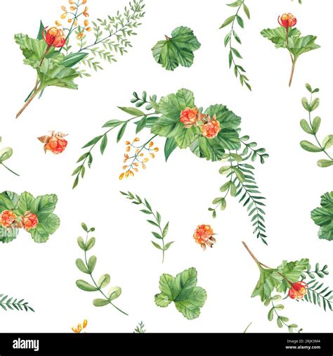 Seamless Watercolor Pattern With Cloudberry Leaves And Berries Fern