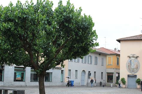 Cernusco Sul Naviglio Milanoguida Visite Guidate A Mostre E Musei