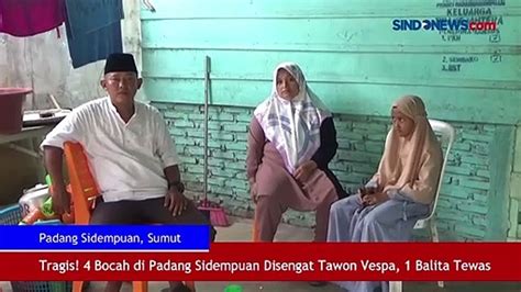 Tragis Bocah Di Padang Sidempuan Disengat Tawon Vespa Balita