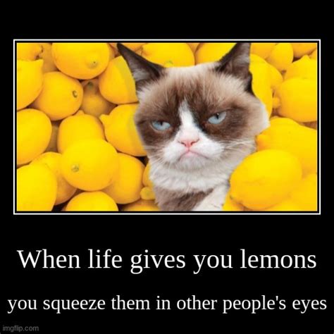 When Life Gives You Lemons Imgflip