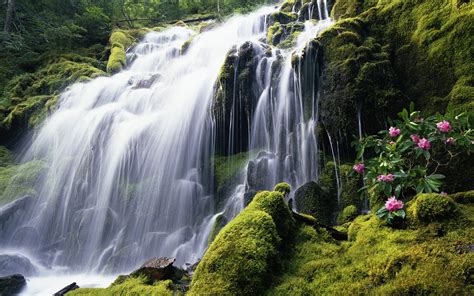 Tropical Waterfall Wallpapers - Wallpaper Cave