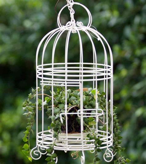 Bird Cage Planters Tutorial Plus Decorative Birdcage Planter Ideas