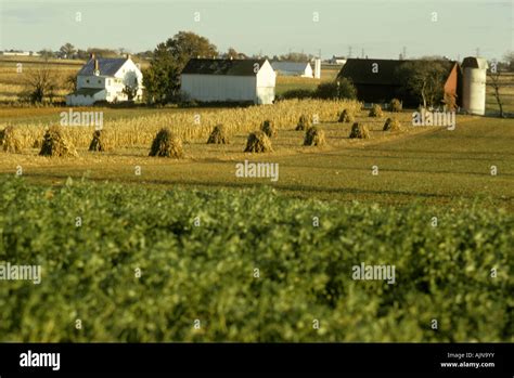 Amish Farm Lancaster County Pa Pennsylvania Fall Harvest Scene Barn