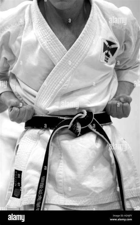 Torso of black belt Karate student Stock Photo - Alamy