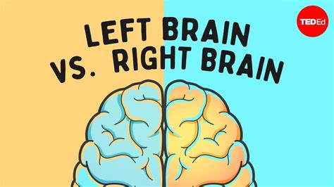 The Left Brain Vs Right Brain Myth Elizabeth Waters