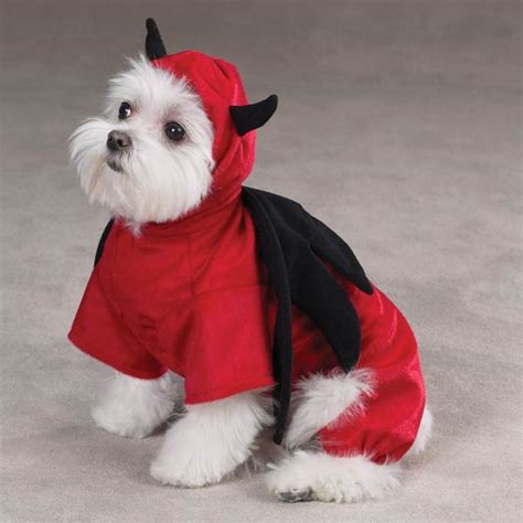 Devil Dog Costume by Casual Canine | BaxterBoo