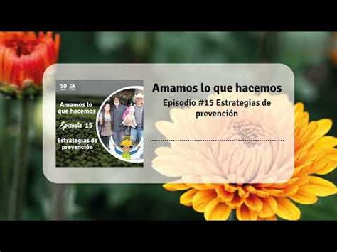 Podcast Amamos lo que hacemos Episodio 15 Estrategias de prevención