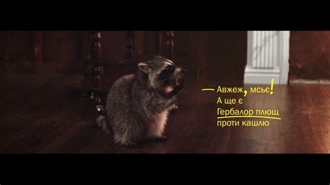 Гербалор - YouTube