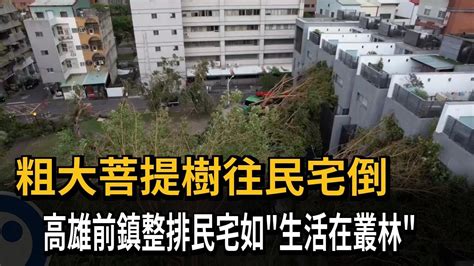 粗大菩提樹往民宅倒 高雄前鎮整排民宅如「生活在叢林」－民視新聞 Youtube