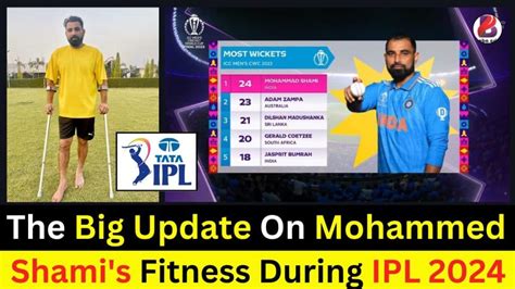 The Big Update On Mohammed Shamis Fitness During Ipl 2024 Latest