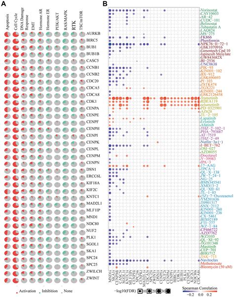 Mnd1 Functions As A Potential Prognostic Biomarker Associated With Cell Cycle And Immune