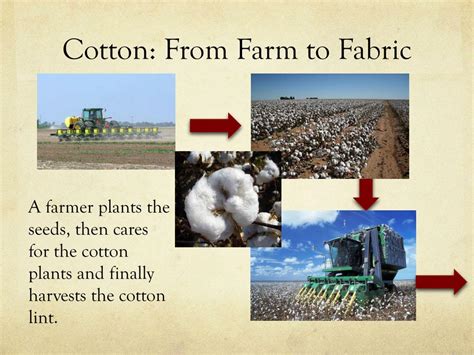 Ppt Cotton From Farm To Fabric Powerpoint Presentation Free