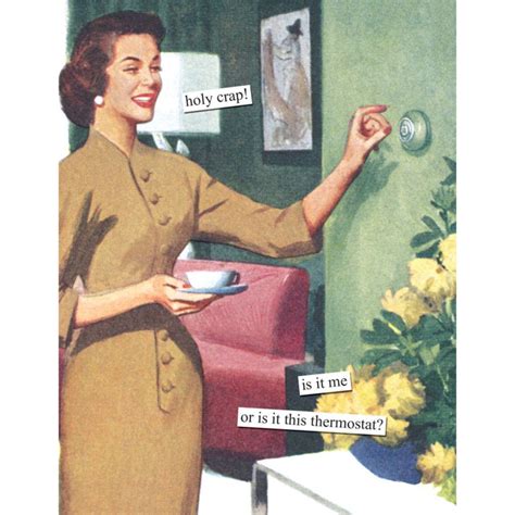 Anne Taintor Is It Me Or The Thermostat Birthday Card Card