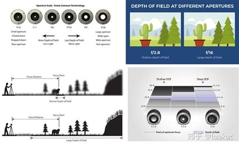 Depth Of Field In Photography