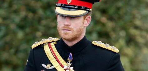 Veteran Prince Harry Offered Olive Branch By Charles With Touching