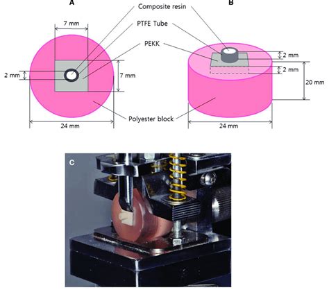 Schematic Drawings Of Specimen Preparation For Shear Bond Strength