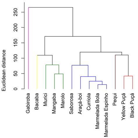 Hierarchical Cluster Analysis HCA For The 13 Cerrado Fruits Analyzed