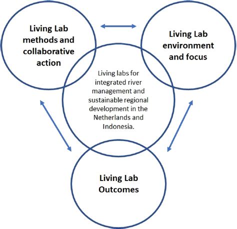 Witteveen Reflecting On Four Living Labs In The Netherlands And