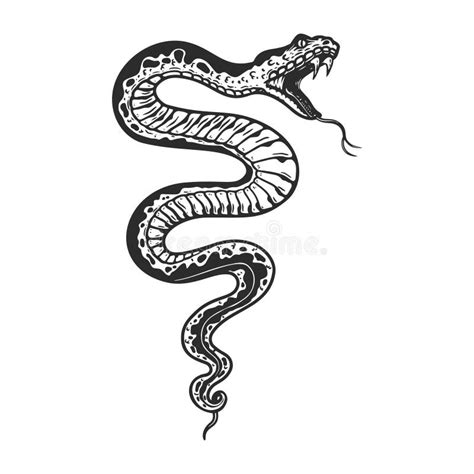 Ilustración De Serpiente Venenosa En Estilo De Grabado Elemento De