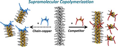 Tuning The Length Of Cooperative Supramolecular Polymers Under