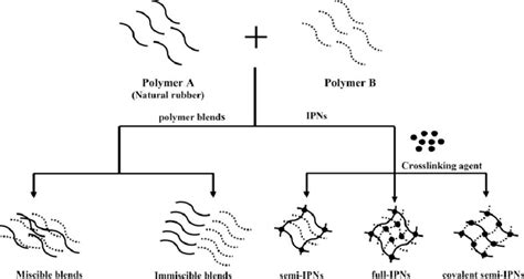 1 Structures of polymer blends and IPNs. | Download Scientific Diagram