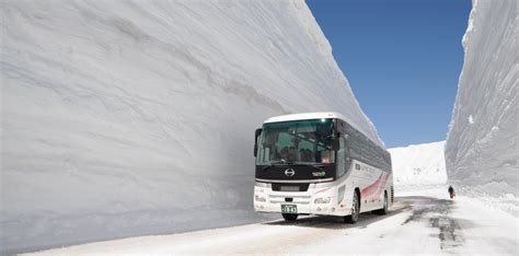 立山黒部アルペンルート・雪の大谷ツアー 2025【jtb】