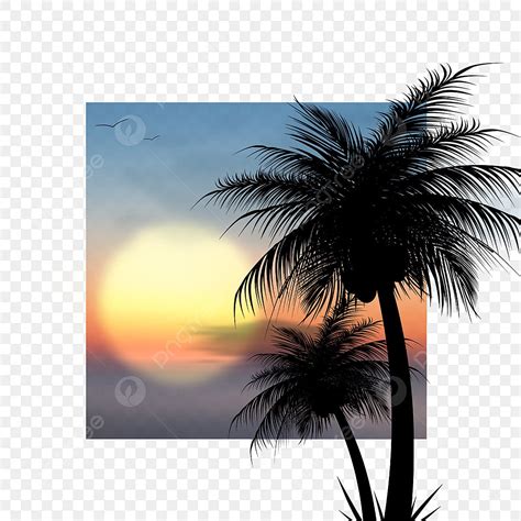 Summer Coconut Tree Png Picture Sunset Coconut Tree Summer Night