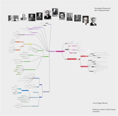 Uc1 Mapa Conceptual Psicología Diferencial Lucía Mb Desarrollo