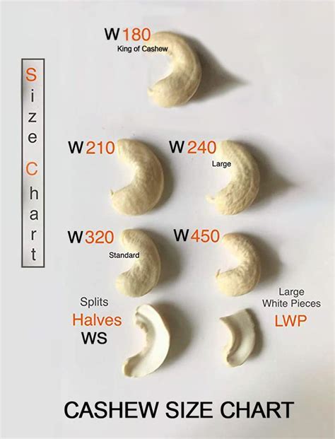 Cashew Size Chart W180 To W450 Cashew Kernel Cashew Nut Recipes