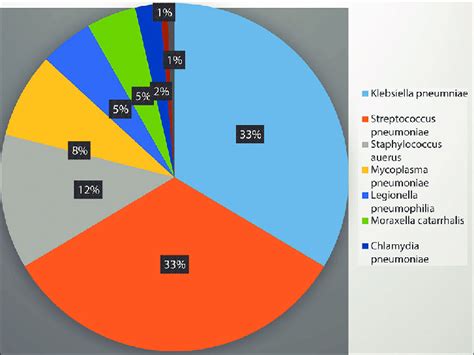 Pie Depicting Various Pathogens Of Adult Community Acquired Pneumonia Download Scientific