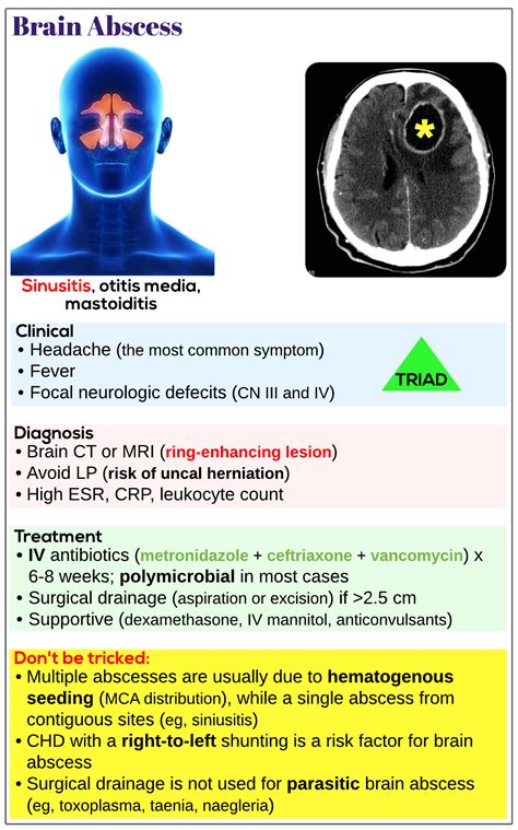 Brain Abscess Medicine Keys For Mrcps