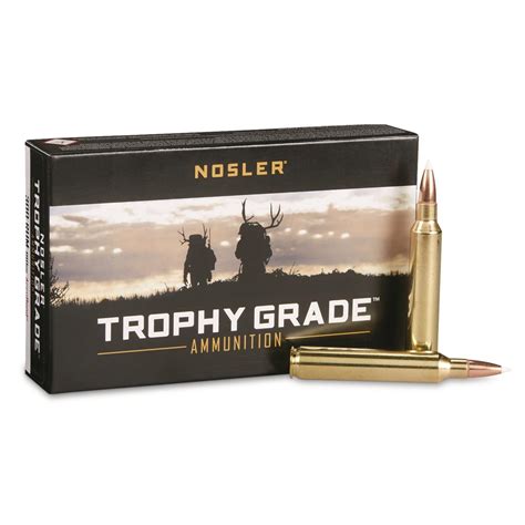 Nosler Trophy Grade 300 Rem Mag 180 Grain PT 20 Rounds 179684