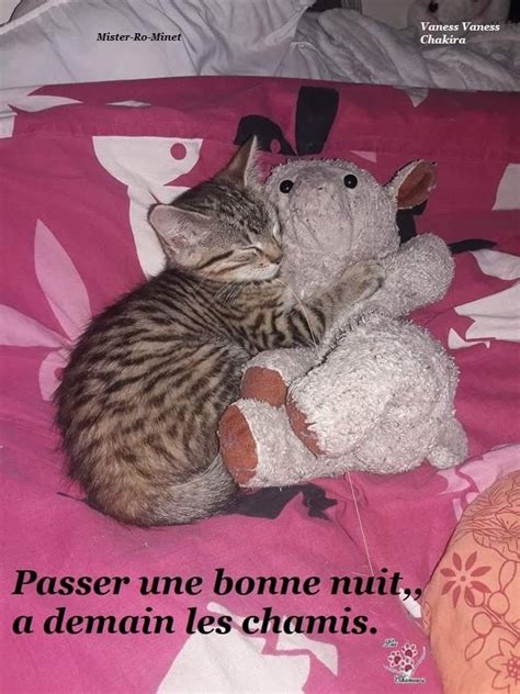 Pingl Par Mazef Anita Sur Bonne Nuit Bonne Nuit Nuit