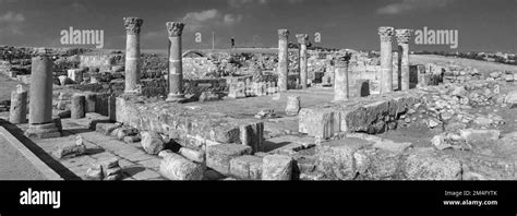 Umayyad Palace Amman Black And White Stock Photos And Images Alamy