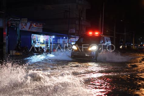 Stranded Lion Flood Due To Rain Antara Foto