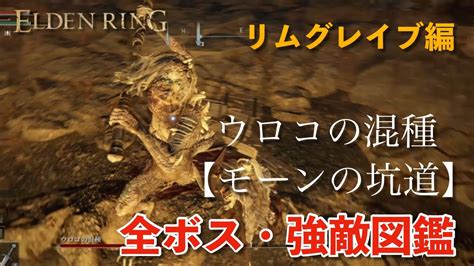 【エルデンリング】全ボス・強敵図鑑〜ウロコの混種（モーンの坑道）〜 エルデンリング ウロコの混種 ＃攻略 Youtube