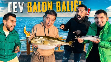 EKİPLE DEV BALON BALIĞI YAKALADIK SefaKndr EnesCinpolat YouTube