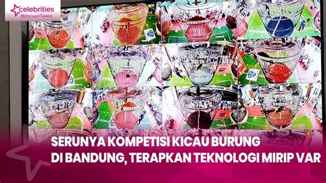 Serunya Kompetisi Kicau Burung Di Bandung Terapkan Teknologi Mirip Var