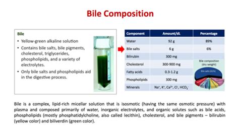 Flashcards Bile Salt Metabolism Quizlet